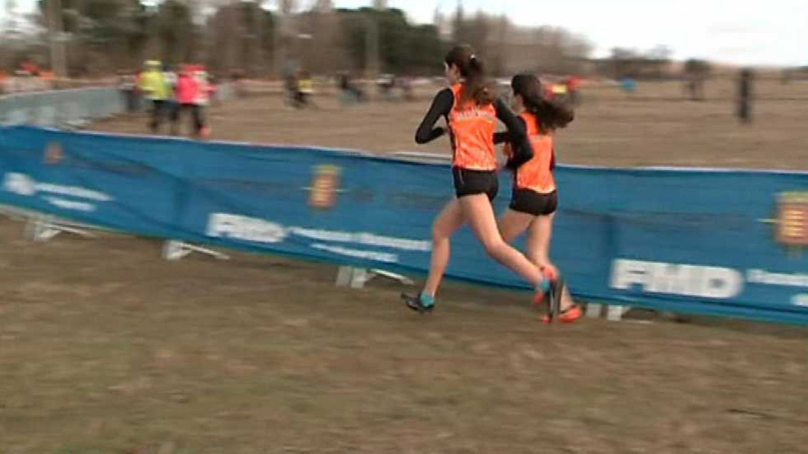 Cross Internacional Ciudad de Valladolid. Resumen - ver ahora