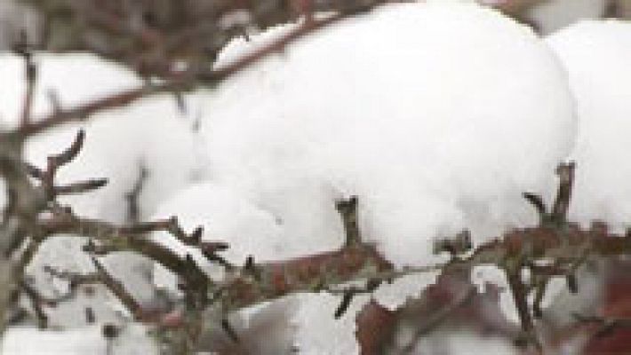 Informativo de Madrid - El Tiempo en la Comunidad de Madrid - 09/02/17