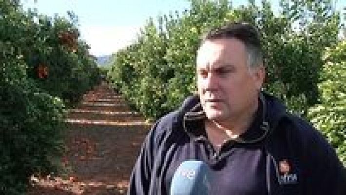 L'informatiu - Comunitat Valenciana - L'Informatiu - Comunitat Valenciana 2 - 09/02/17