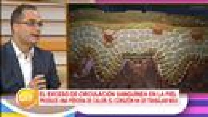 Cerca de ti - Cerca de ti - 09/02/2017