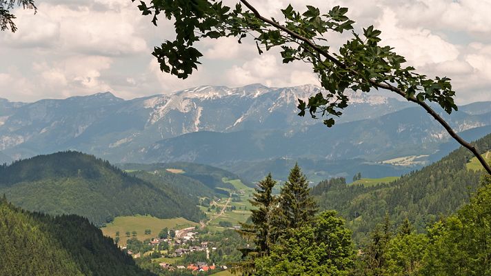 Grandes documentales - La creación de un bosque virgen: P. N. Kalkalpen
