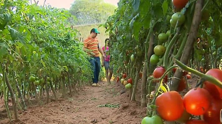 Paraguay, semillas de esperanza