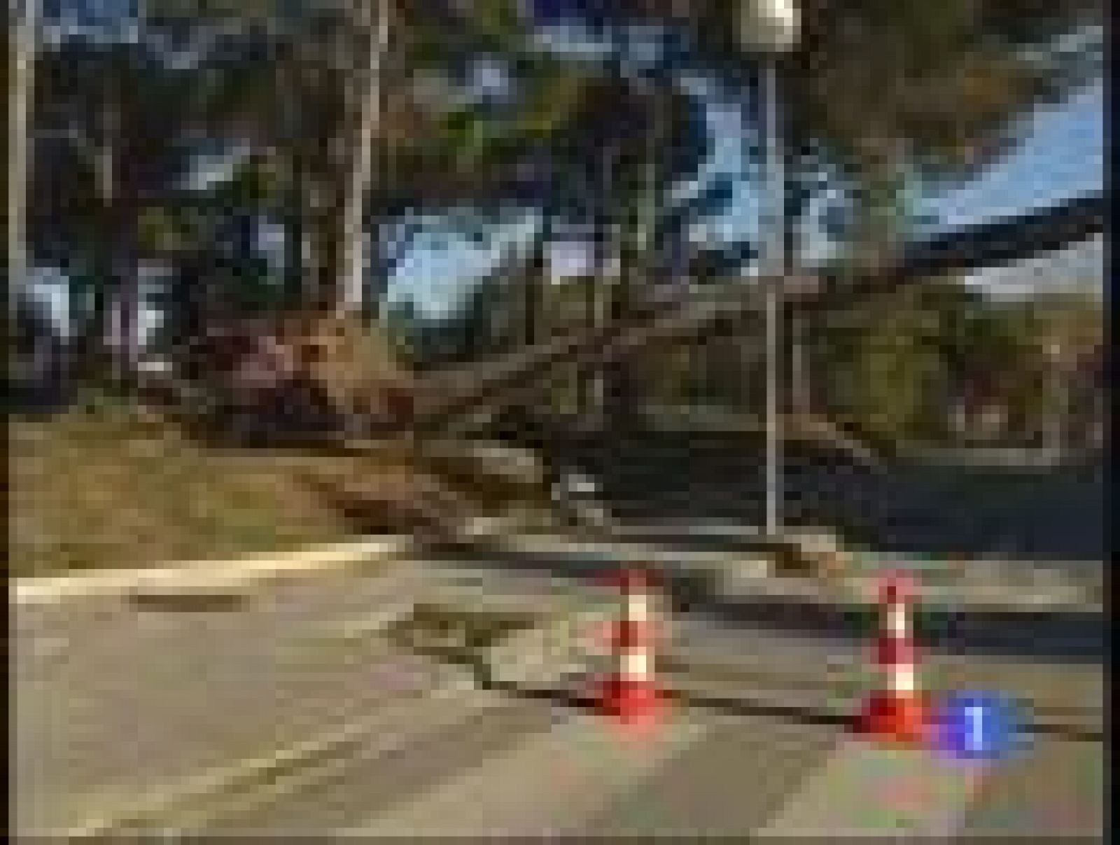 El Tiempo - 25/01/09 - El tiempo | Ver