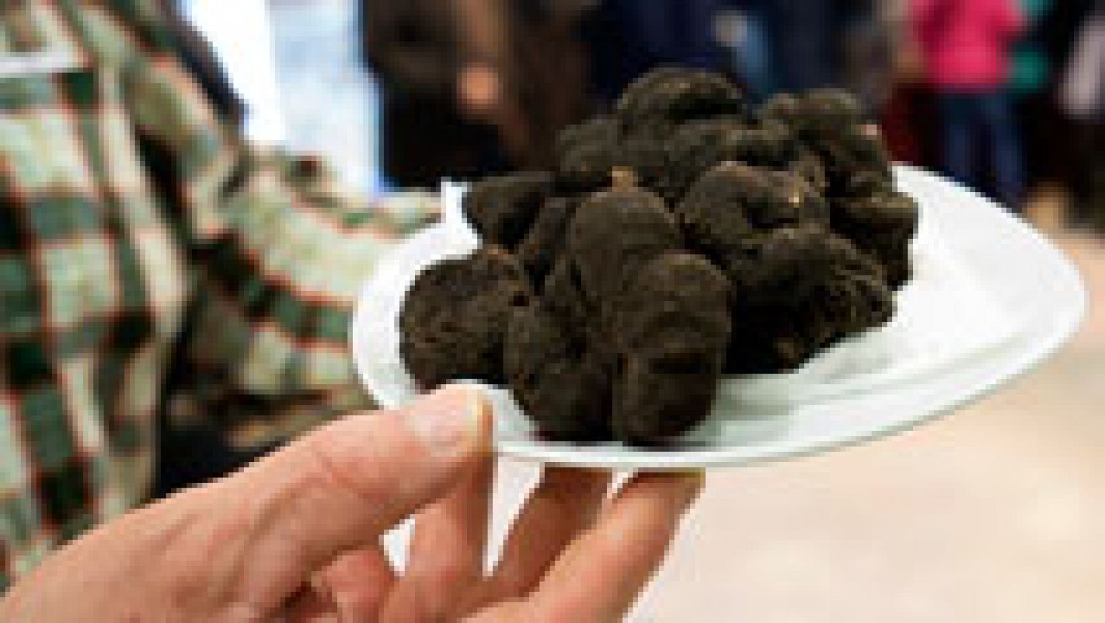 Estamos en plena temporada de recolección de la trufa negra de invierno