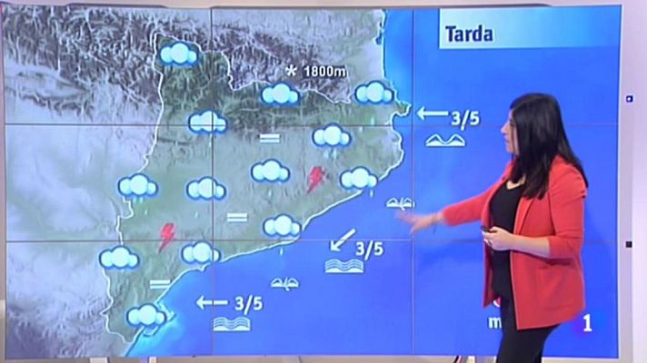 L'Informatiu - El Temps - 13/02/2017