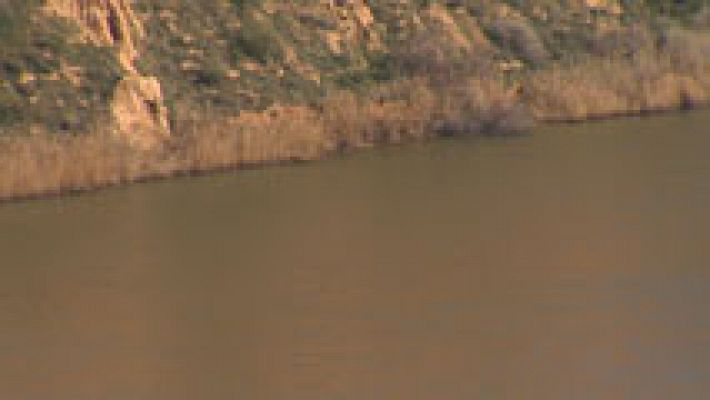 Informativo de Madrid - Informativo de Madrid - 13/02/17