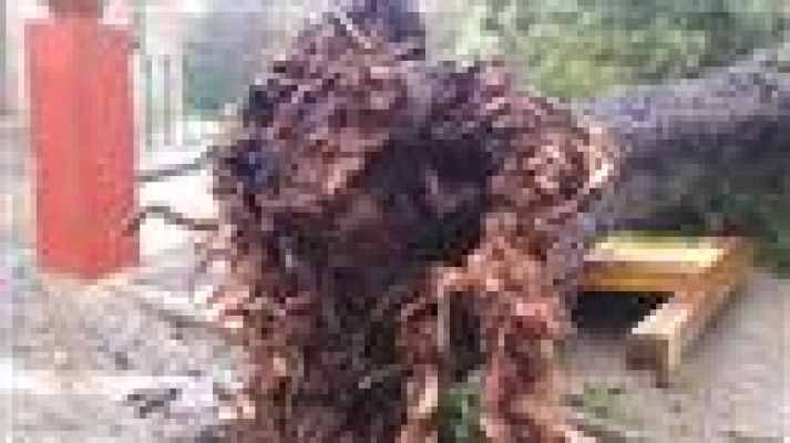 Telecanarias - Canarias en 2' - 13/02/2017