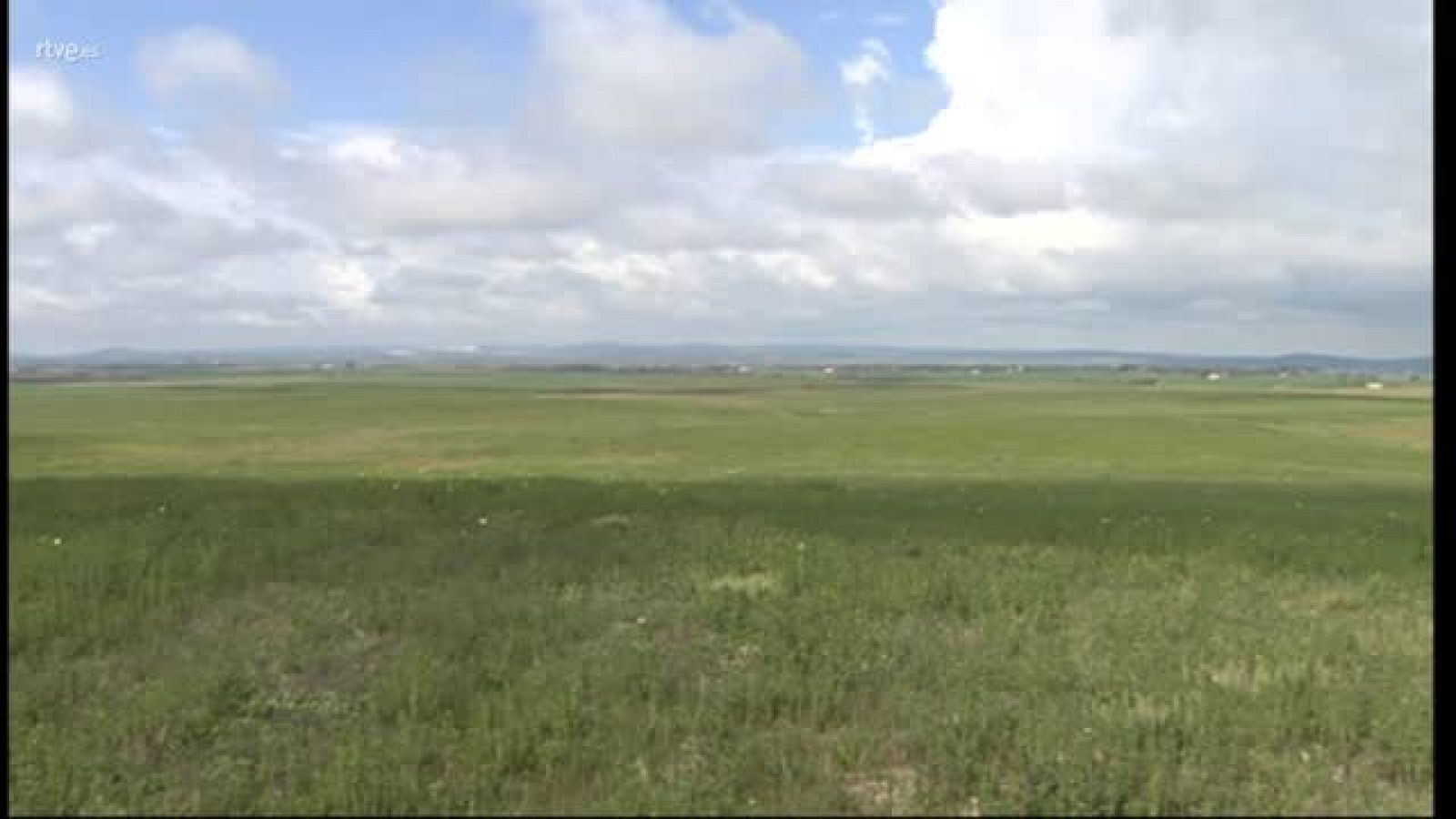 PLATAFORMA LOGÍSTICA