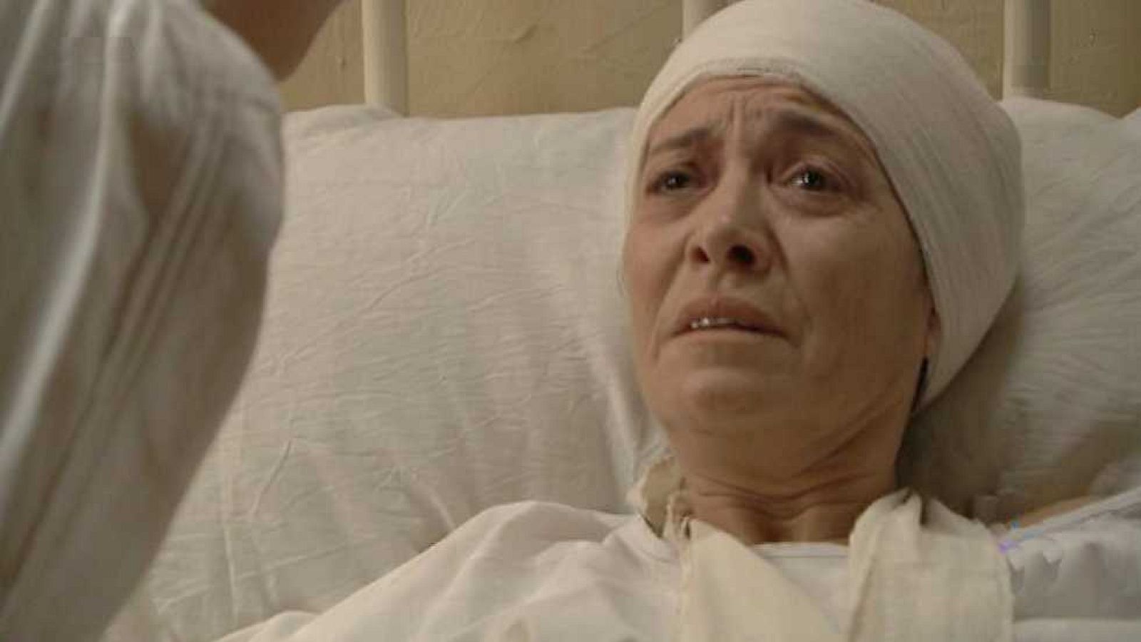 Acacias 38 - Capítulo 453 - ver ahora