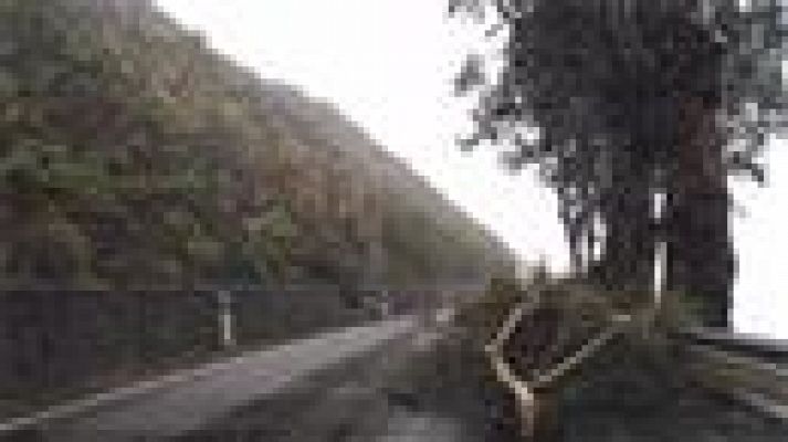 Telecanarias - Telecanarias - 13/02/2017