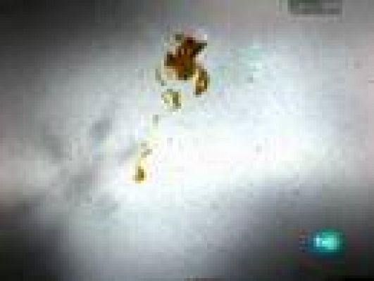 tres14 - Coches futuros