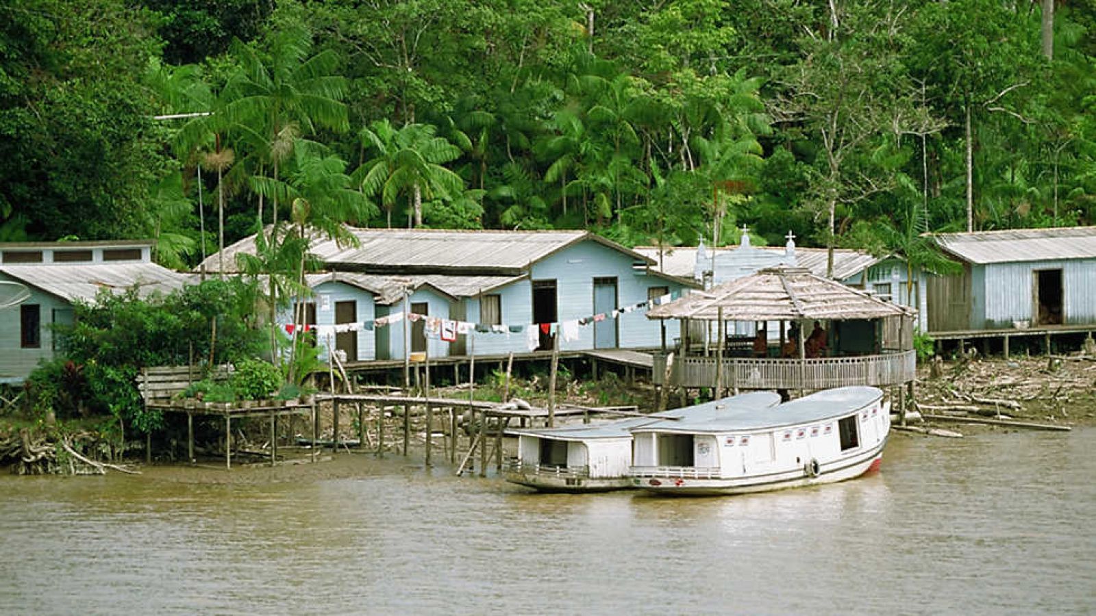 Grandes documentales - Amazonia desconocida