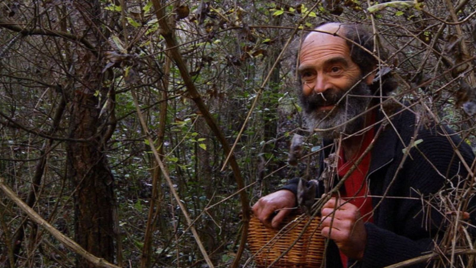 El Señor de los bosques y los enigmas de la naturaleza