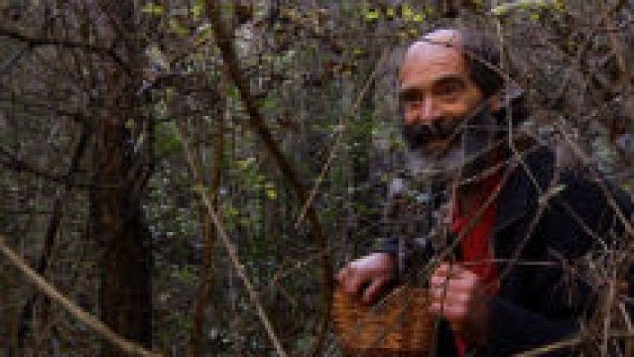 Aquí la Tierra - El Señor de los bosques y los enigmas de la naturaleza