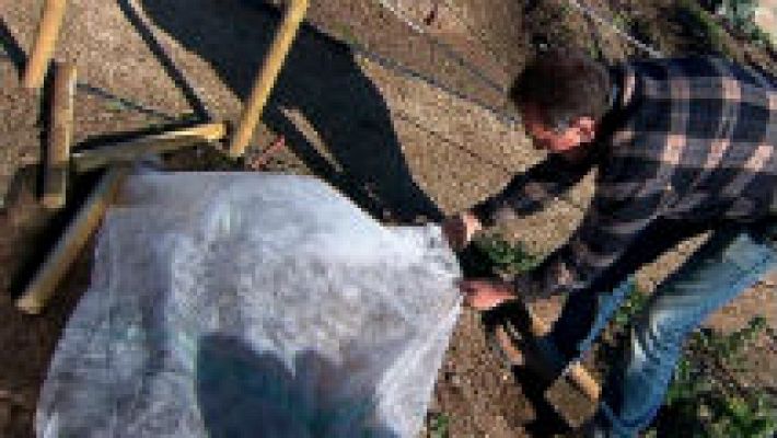 Aquí la Tierra - ¿Funciona una manta térmica en un huerto?