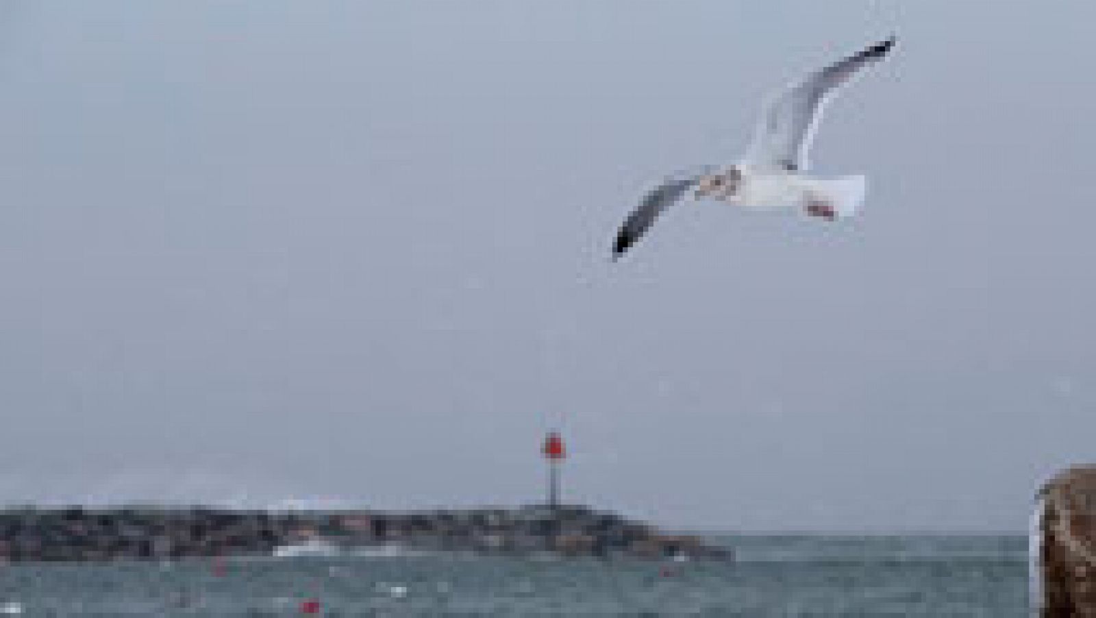 El tiempo: El oleaje y el viento tendrán en riesgo a las costas andaluzas y a Melilla | RTVE Play