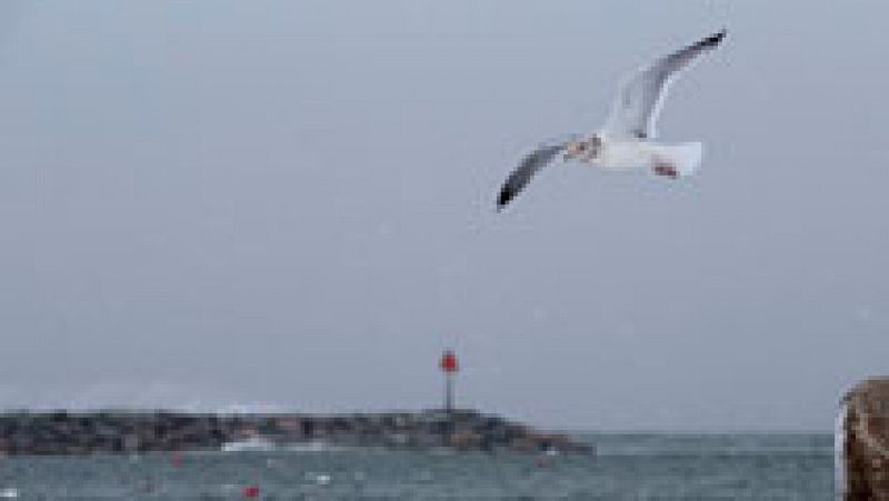 El oleaje y el viento tendrán en riesgo a las costas andaluzas y a Melilla