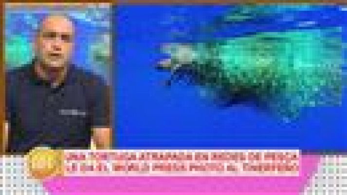 Cerca de ti - Cerca de ti - 16/02/2017