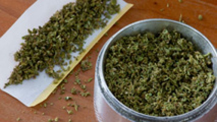 Desmantelan en Barcelona una organización que cultivaba marihuana y la vendía a asociaciones de cánnabis