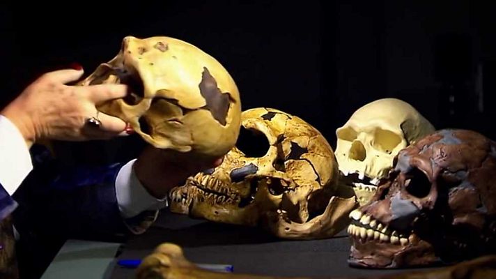 Universo UNED - UNED - 17/02/17