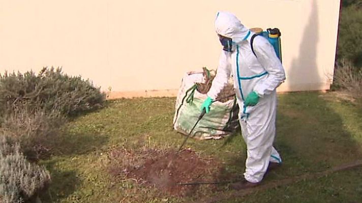 Agrosfera - Agrosfera - 18/02/17