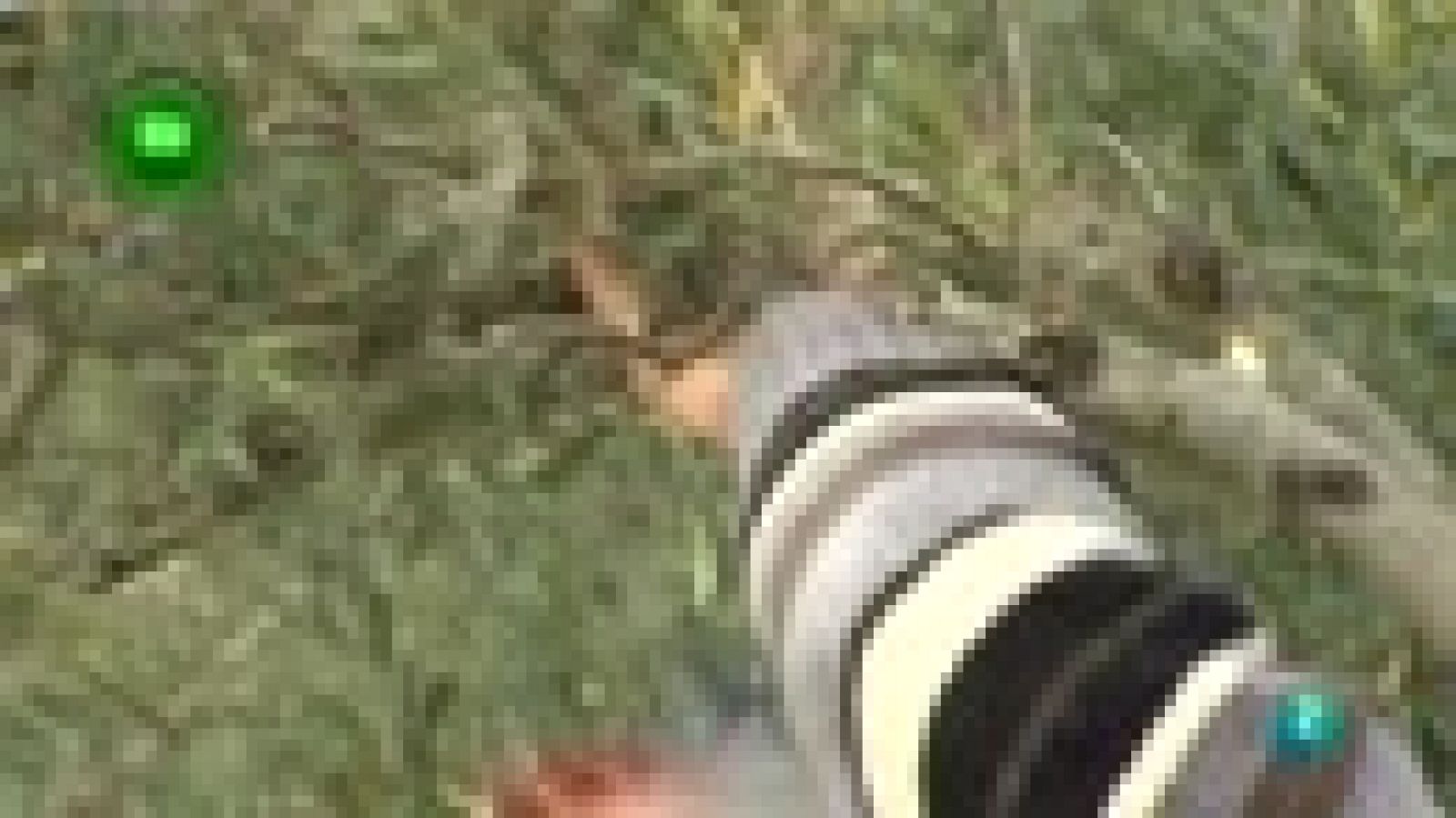 Agrosfera - En clave rural - San Martín de Trevejo, Cáceres