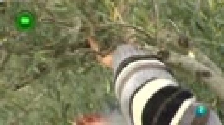 Agrosfera - San Martín de Trevejo, Cáceres