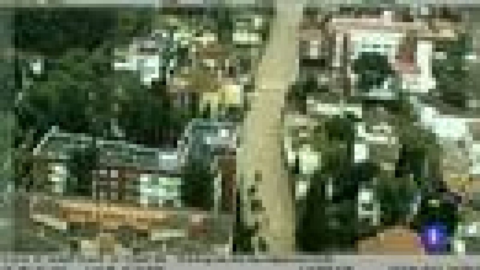 Noticias Andalucía 2-  20/02/2017 | Ver