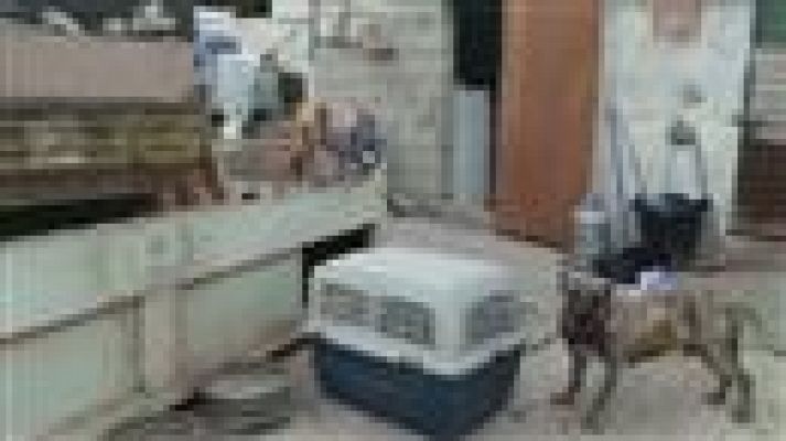 Telecanarias - Telecanarias - 20/02/2017