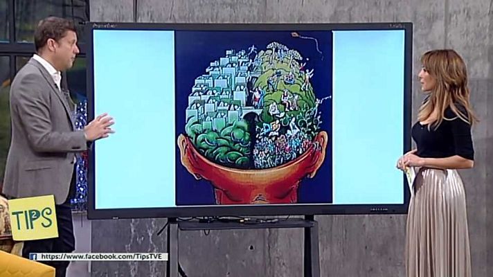 Tips - Tips - 20/02/17