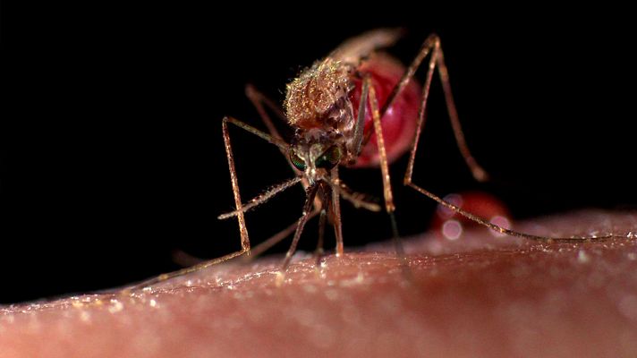 Documentos TV - Cazadores de virus