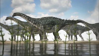 Un yacimiento en Cuenca revela para qu serva la armadura sea de los ltimos dinosaurios