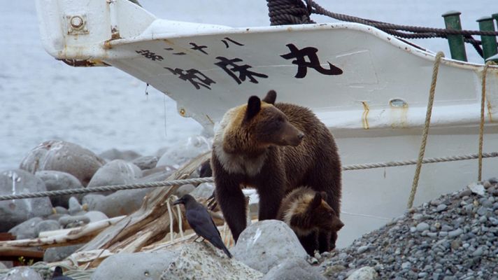 Grandes documentales - Japón salvaje: Las islas del Sudoeste