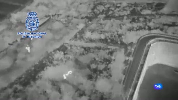  - Operación peleas de perros