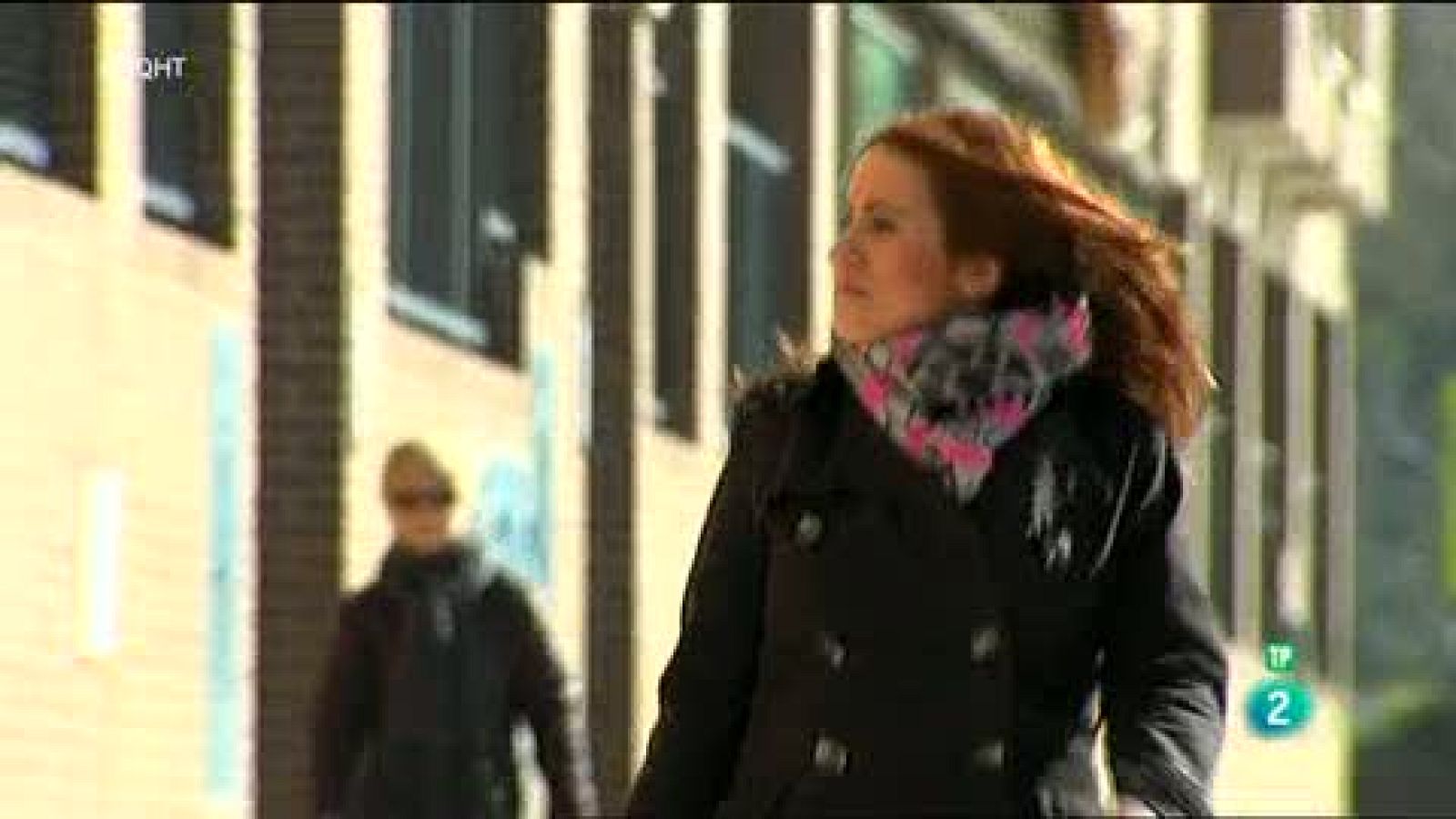 Los sisis, que SÍ estudian y Sí trabajan - Aquí hay trabajo | Ver