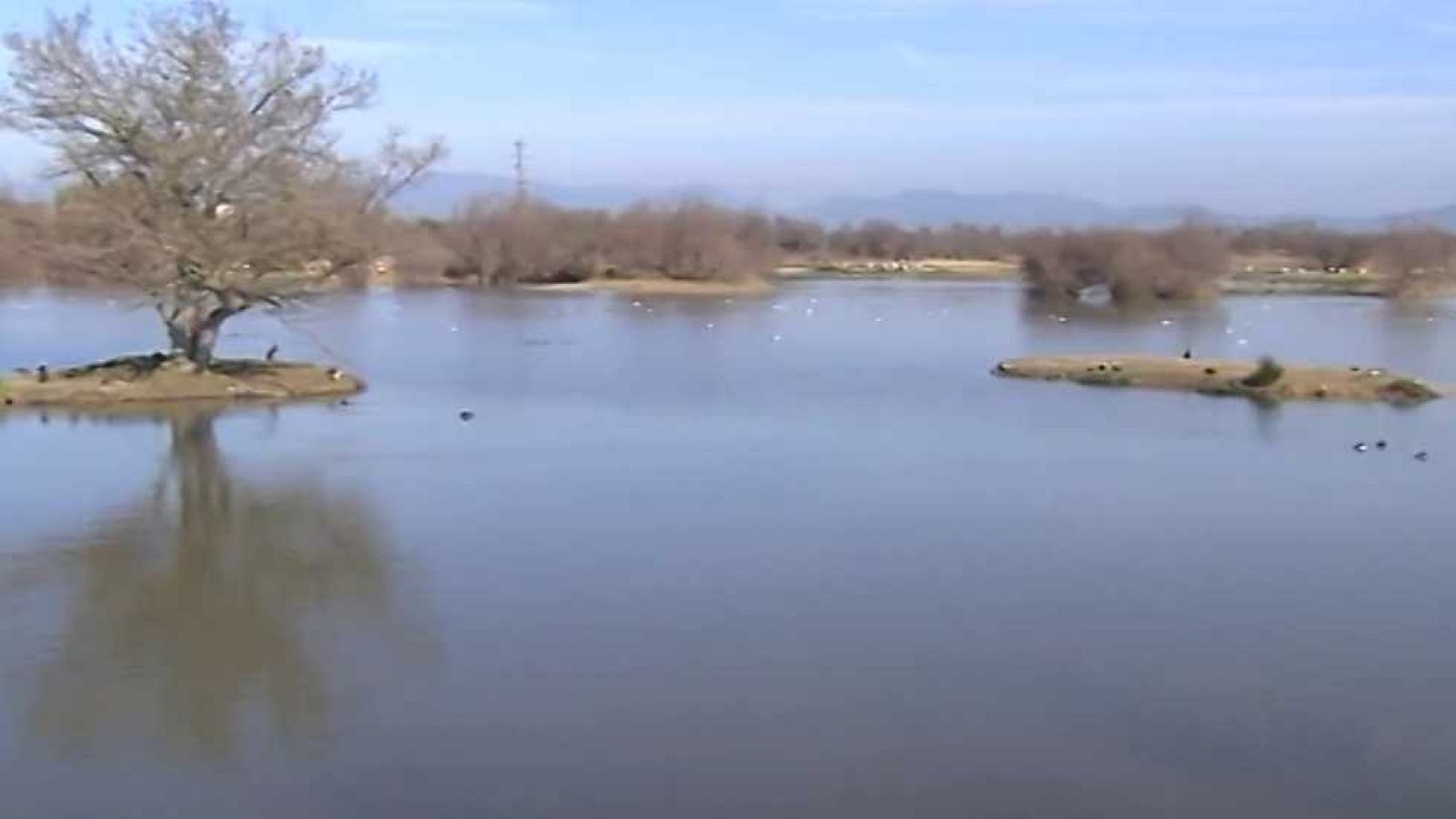 Agrosfera - 25/02/17 - ver ahora