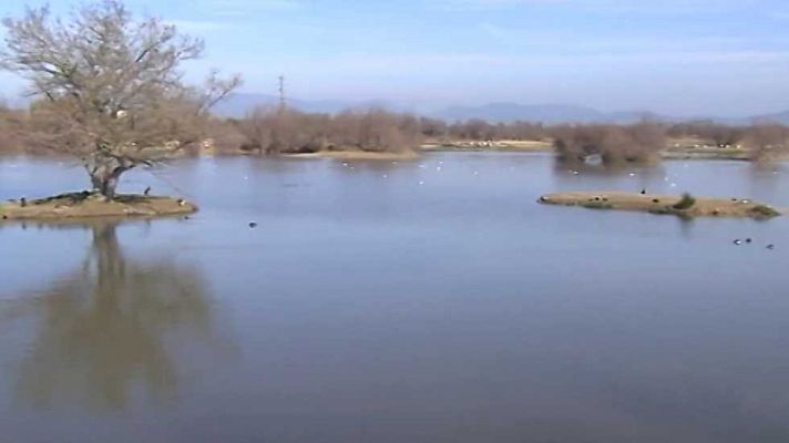 Agrosfera - Agrosfera - 25/02/17