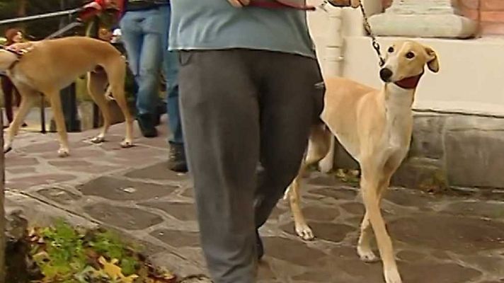 España en comunidad - Noceda, pueblo casi abandonado