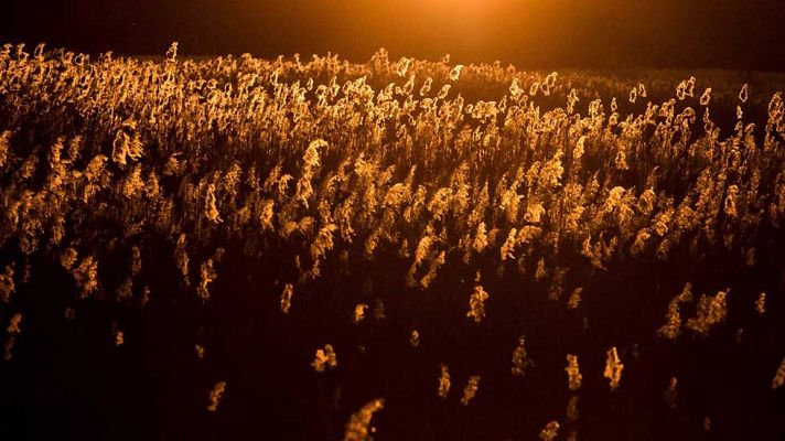 El tiempo - Nubes generalizadas y viento en la costa de Galicia