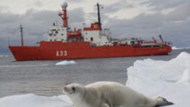España cumple 30 años de presencia en la Antártida