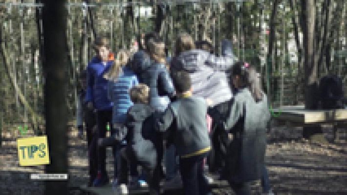 Tips - Educación emocional