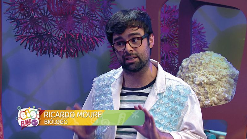 Mes de la Ciencia - Ricardo Moure y las grasas - Big Band Clan | Ver