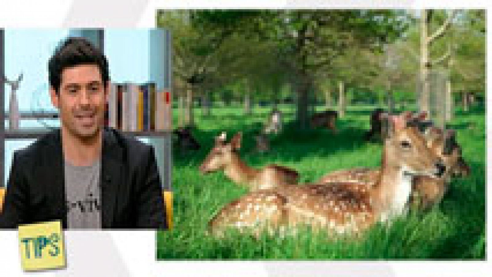 TIPS - Fuera de ruta - Dublín