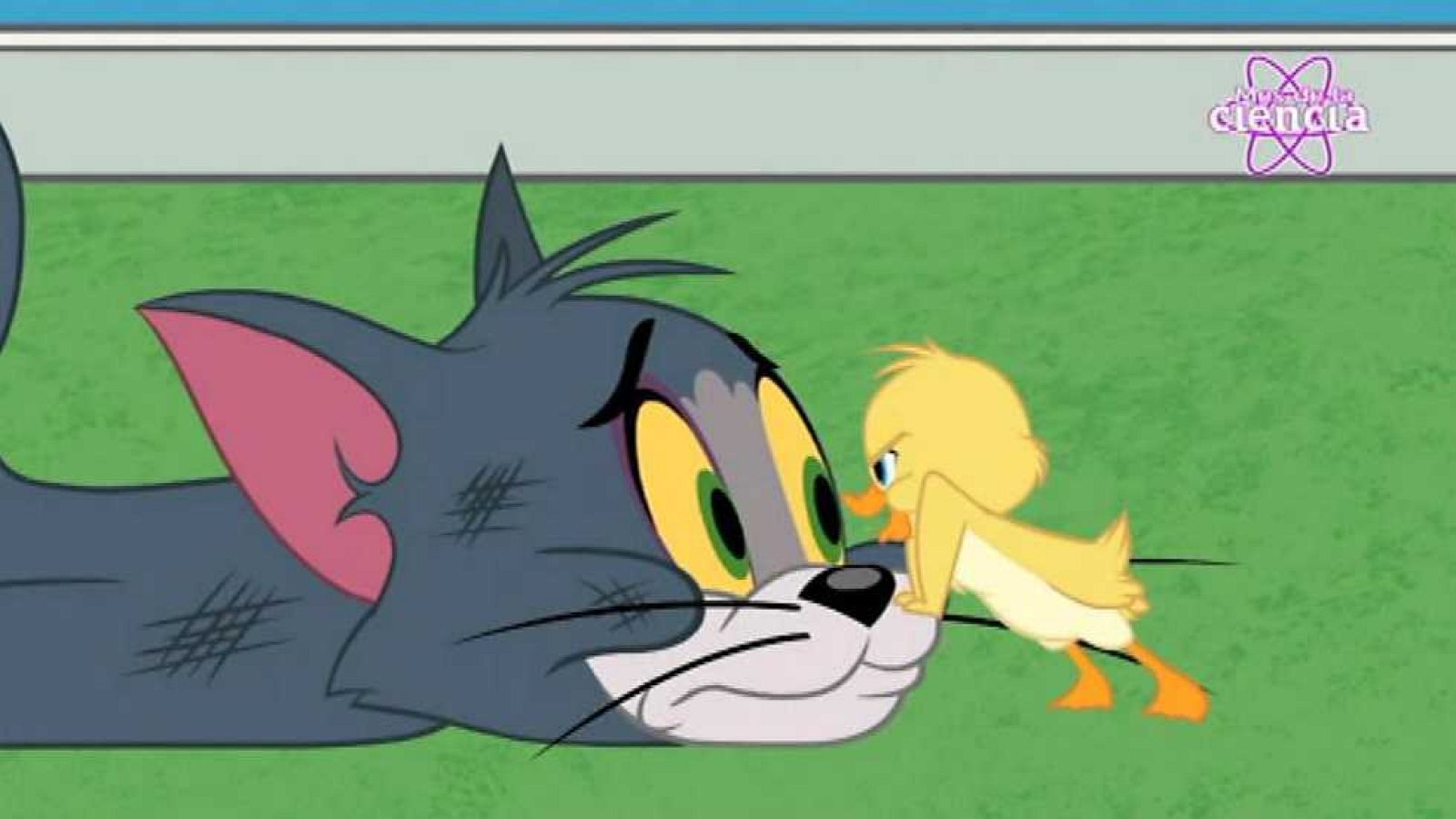 Los juegos del hambre - Tom y Jerry | Ver