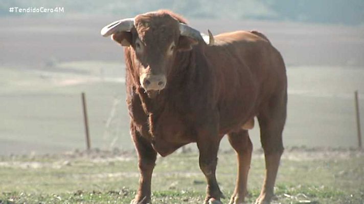 Tendido cero - Tendido Cero - 04/03/17