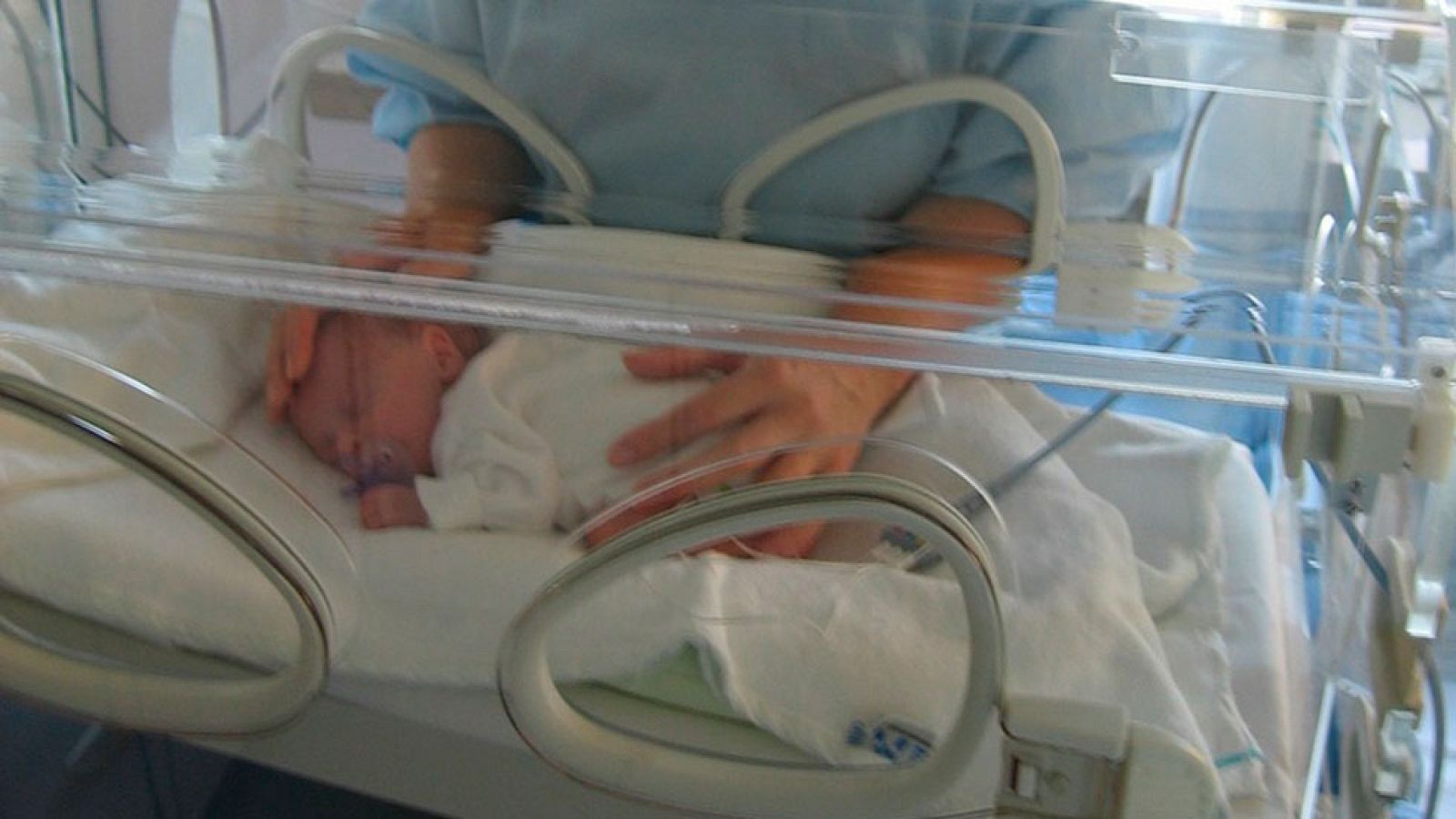 Los pulpos solidarios del hospital Principe de Asturias