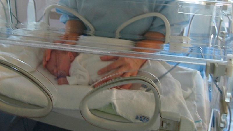 Los pulpos solidarios del hospital Principe de Asturias