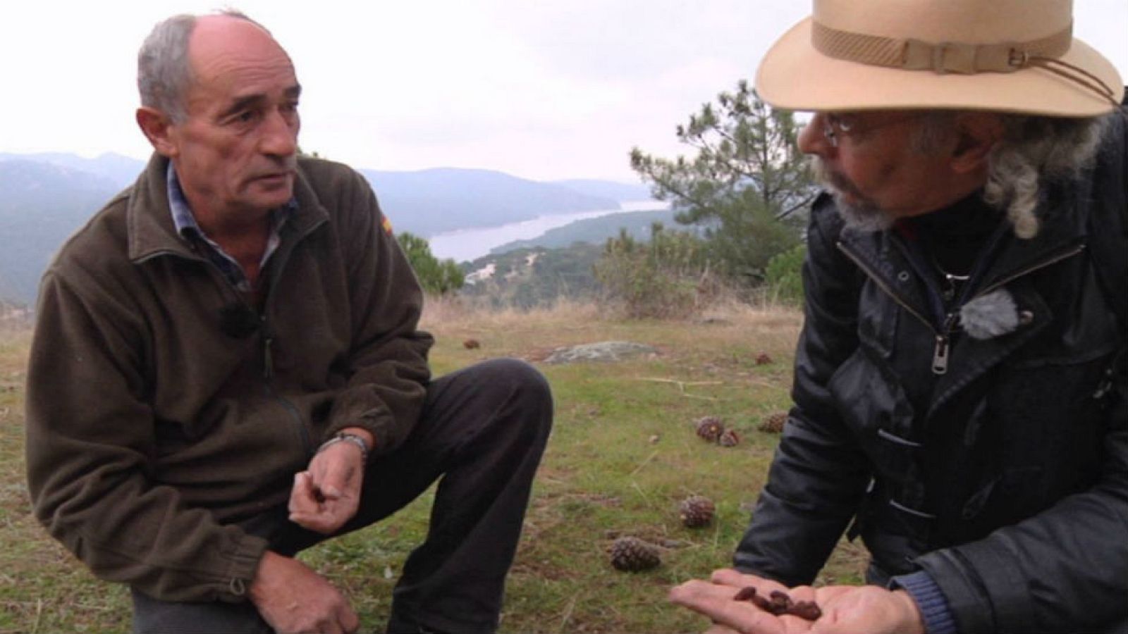 A la sombra de los pinos