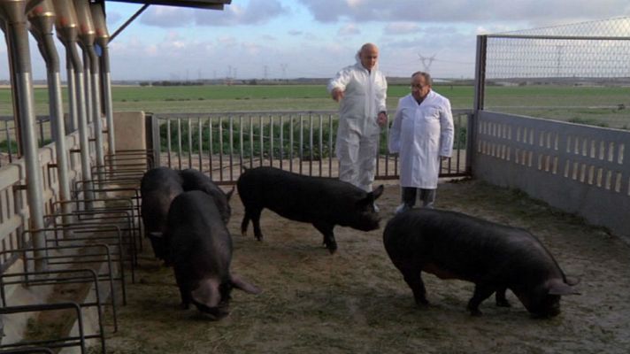 Aquí la Tierra - El chato murciano