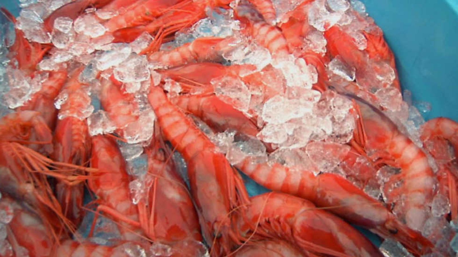 Aquí la Tierra - 06/03/17 - ver ahora